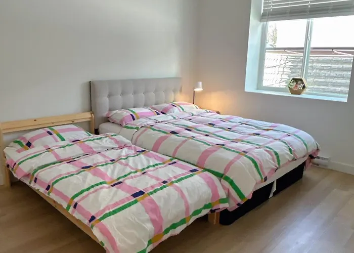 Sunflower Brandnew Cozy Suite