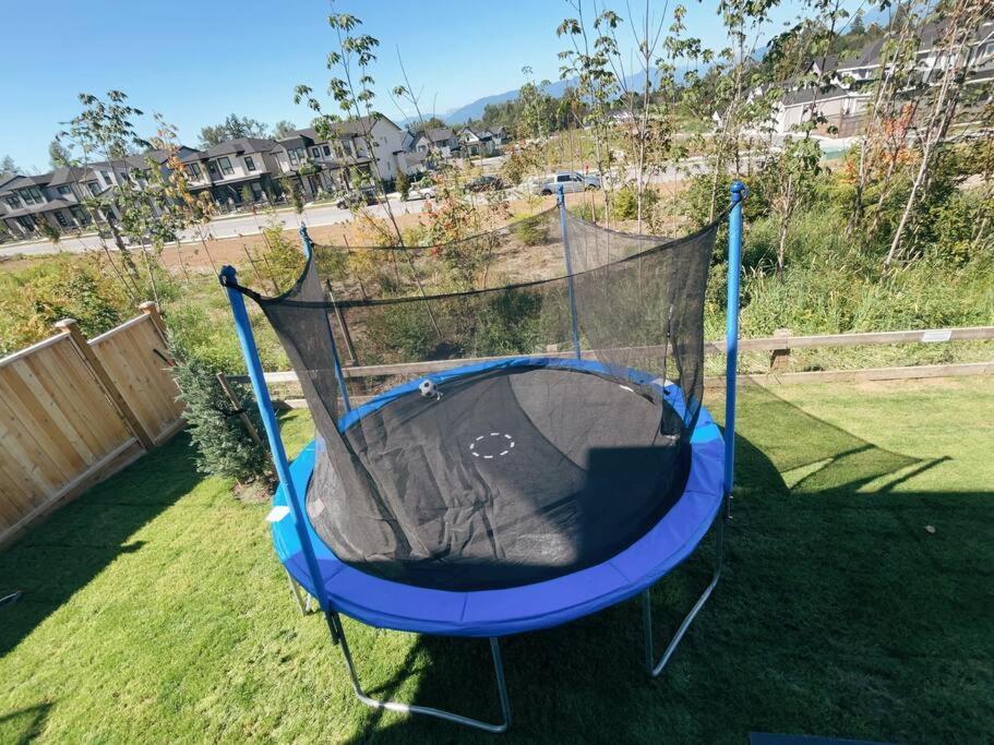 Sunflower Brandnew Cozy Apartment Langley